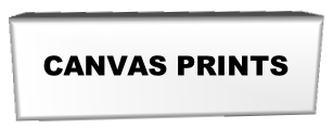 CANVAS PRINTS
